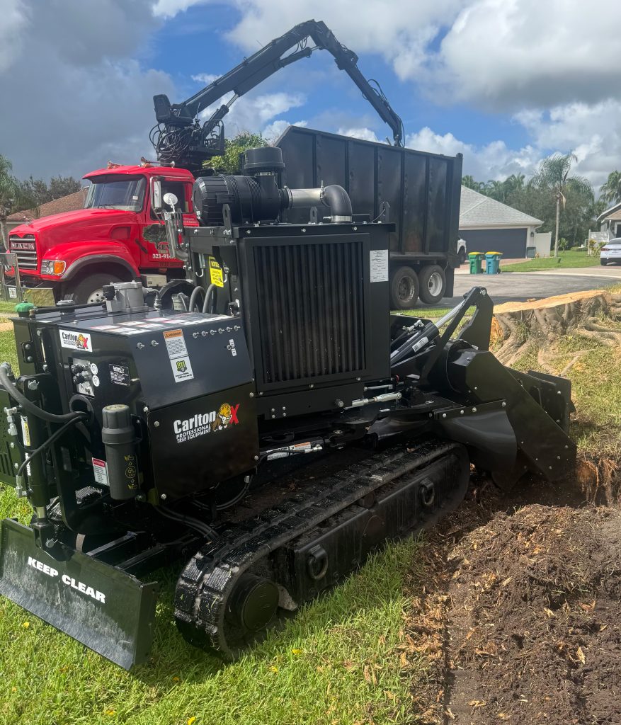 How Much Does Stump Grinding Cost in Palm Bay, FL? 7 Stump grinder used for stump grinding and tree root removal in Palm Bay, FL