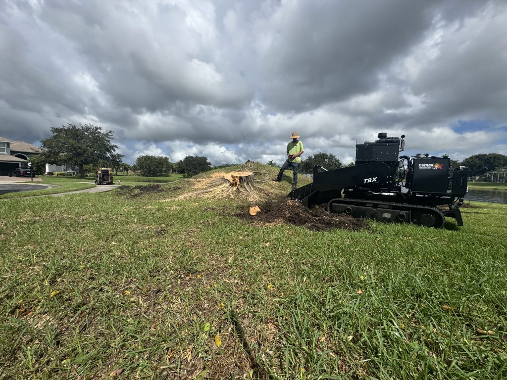 How Much Does Stump Grinding Cost in Palm Bay, FL? 1 Stump grinder working on a stump in a Palm Bay yard — stump grinding cost depends on stump diameter