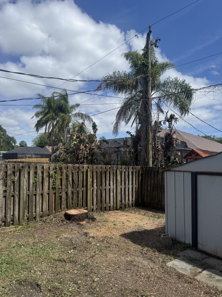 Who Is Responsible When a Neighbor's Tree Falls on Your Property in Florida? 1 Trees along a property-line fence — what to do when a neighbor's tree fell on my property in Florida